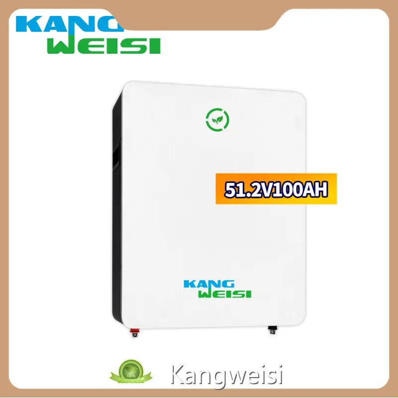 Lithium Ion Battery Suppliers Lifepo4 by Kangweisi 1