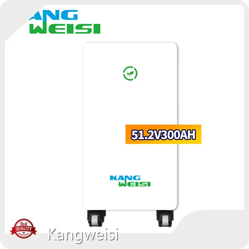 Kangweisi Lithium Battery Wholesale KLA15360 Lithium Battery Wholesalecost 1