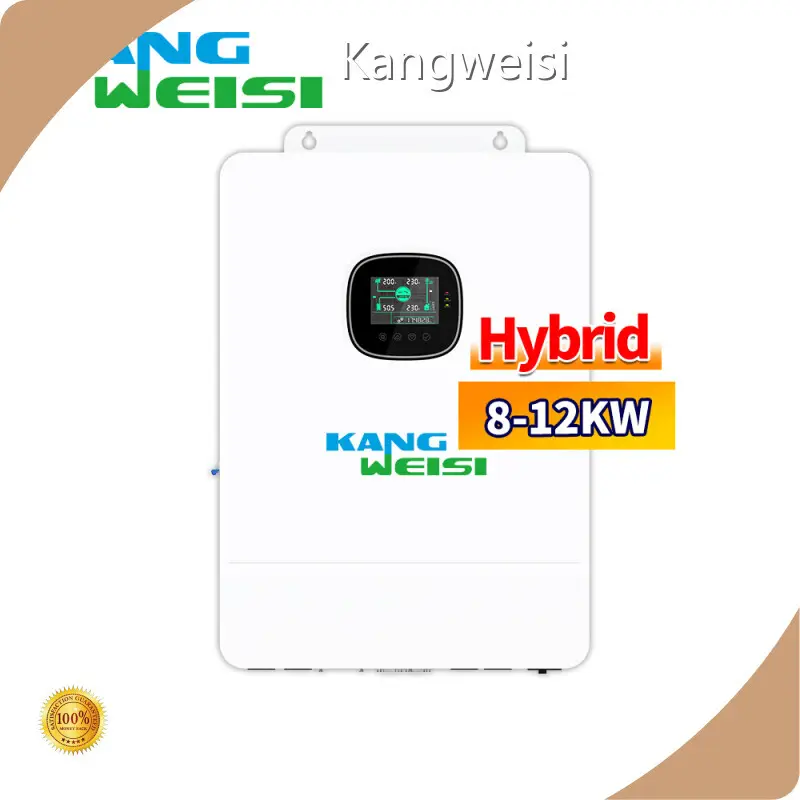 Customized Solar Inverter Manufacturer Solar Inverter Manufacturer Company-1 1