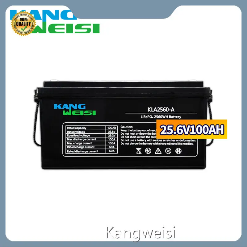 Kangweisi Lithium Battery Wholesale Lead to Lithium Batteryprice 1