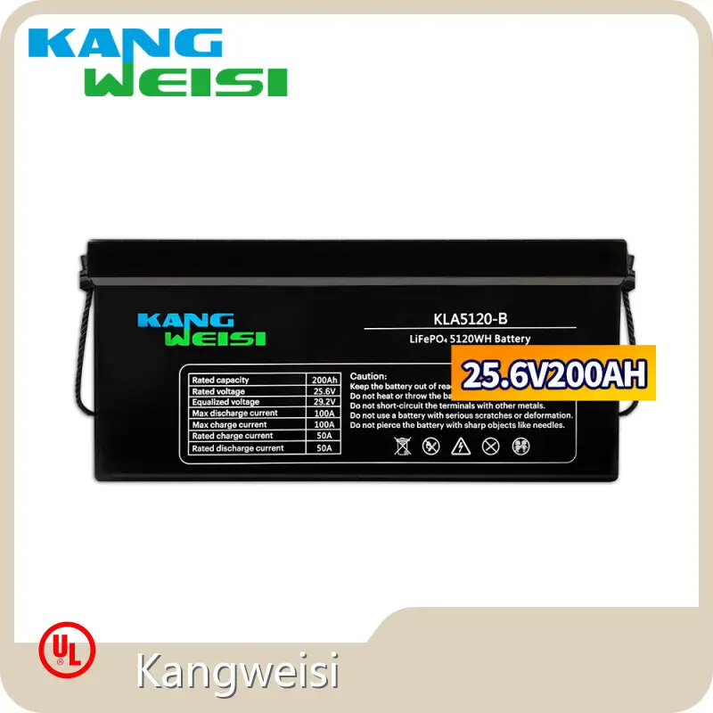 Top Lithium Battery Supplier Lithium Battery Supplier Company 1