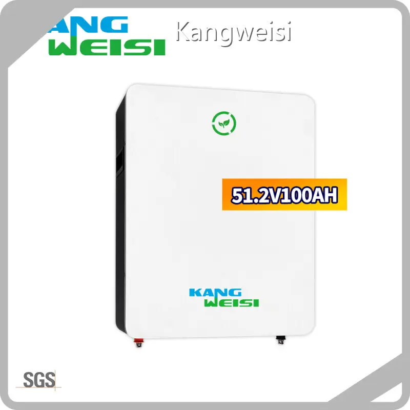 Li Ion Battery Wholesale 51.2V MSDS Undergoingmanufacturers 1