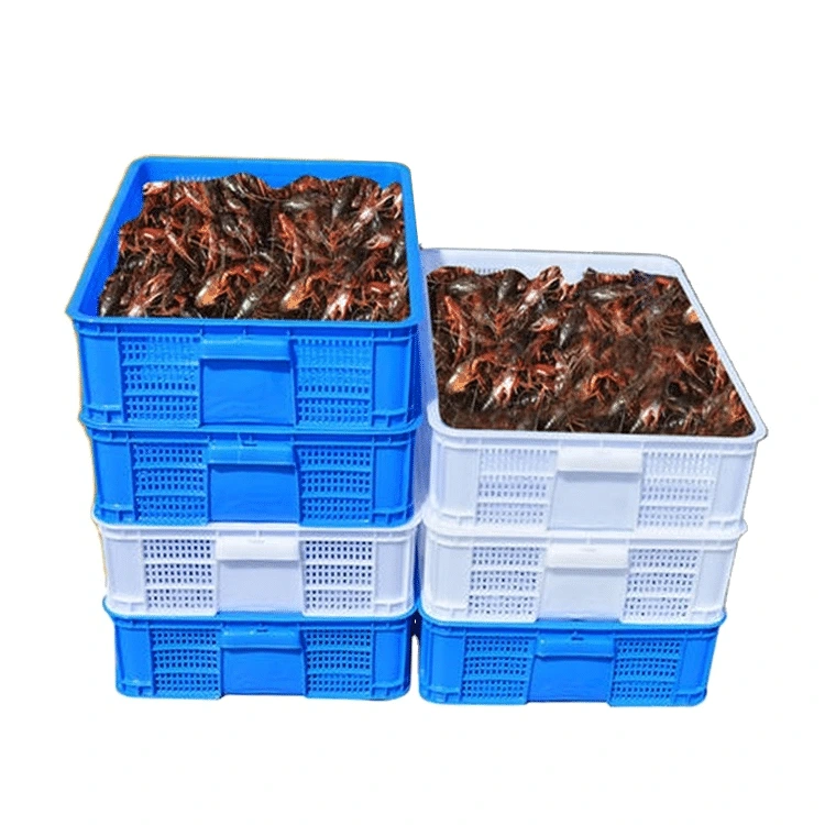 Iikhreyiti zeplastiki ezifakwe umoya kwi-shrimp 1