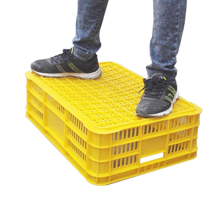 Odvětrávané plastové přepravky na krevety 4