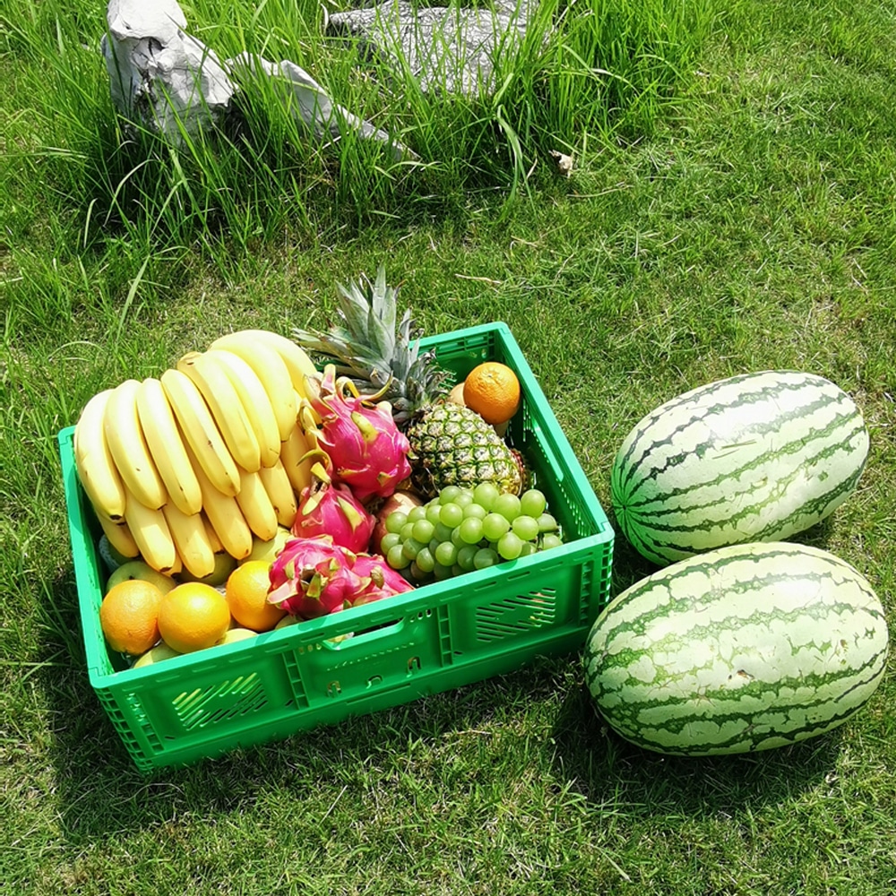 collapsible crates ng prutas 5