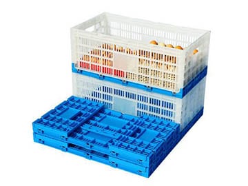 samanbrjótanlegar rimlakassar úr plasti-Eggplastkassi 1