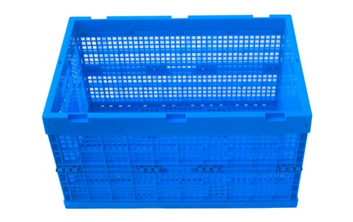 tiute mamafa gaugau pusa teuina-SOI-KK604033W 1