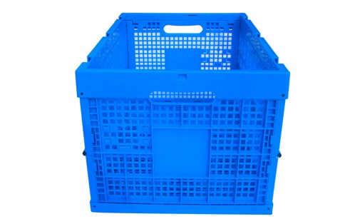 tiute mamafa gaugau pusa teuina-SOI-KK604033W 2