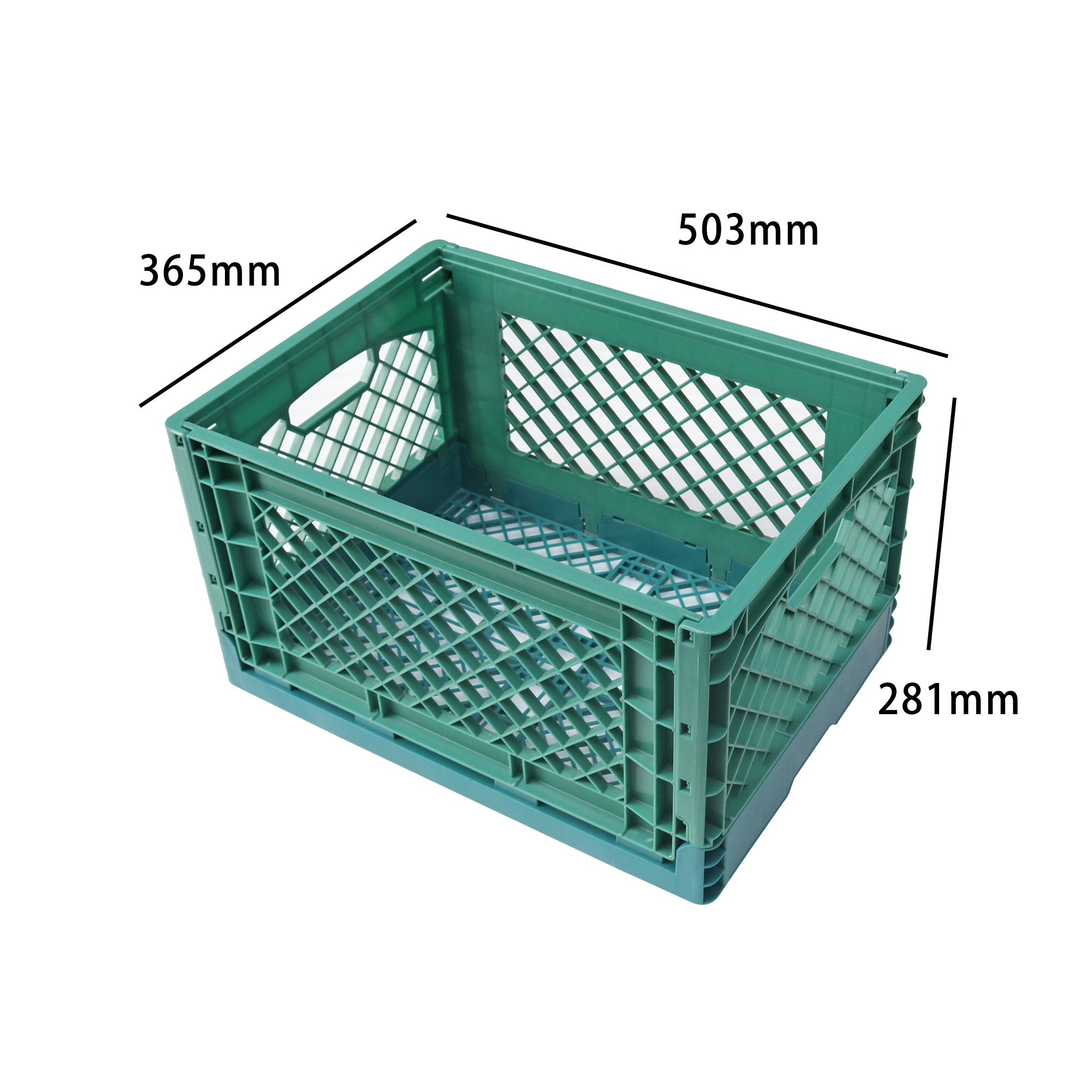 Kereiti e Tloaelehileng ea Plastiki e nang le Li-Dividers TSENA 3