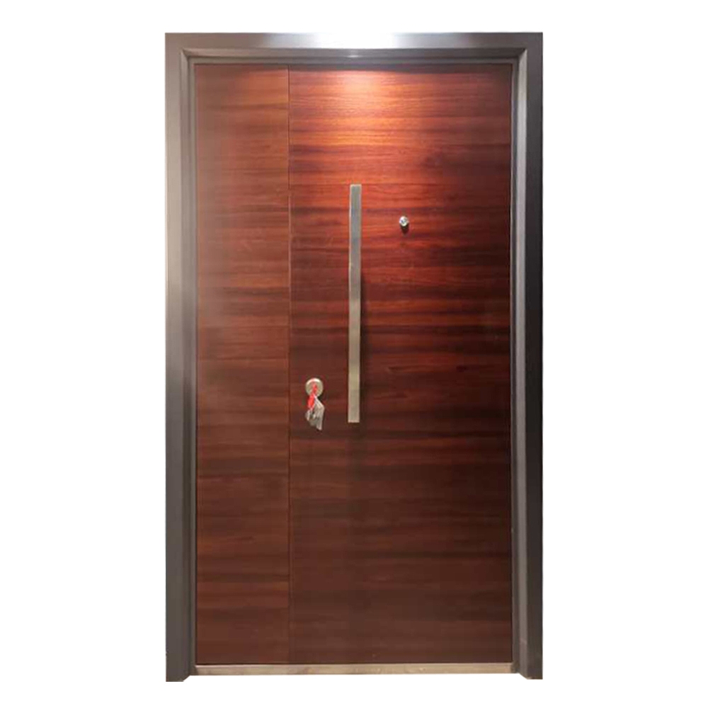 Modern Young Design Safety Steel Door 2