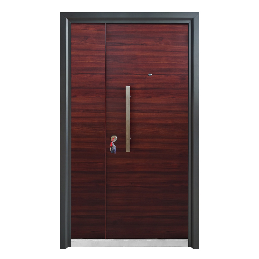 Modern Young Design Safety Steel Door 3