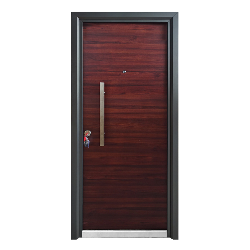 Modern Young Design Safety Steel Door 4