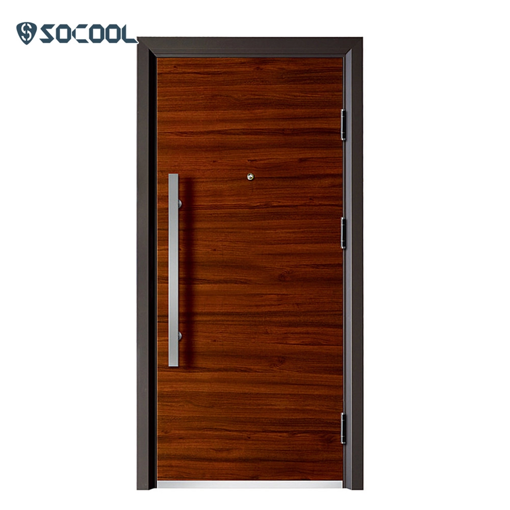 Puerta de seguridad de acero de seguridad de proveedor de China de diseño joven moderno 1