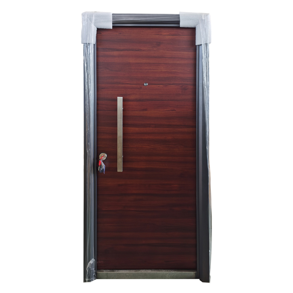 Modern Young Design Safety Steel Door 5