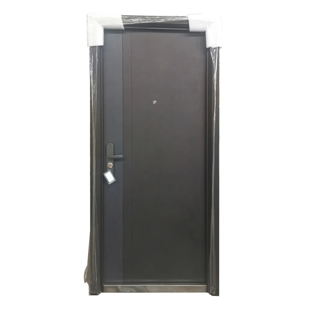 Steel Front Entry Doors - for Residential Homes - SOCOOL 2