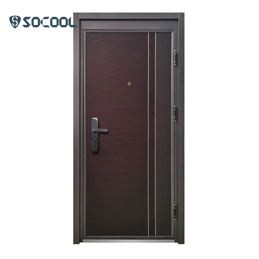 Steel Front Entry Doors - for Residential Homes - SOCOOL 6