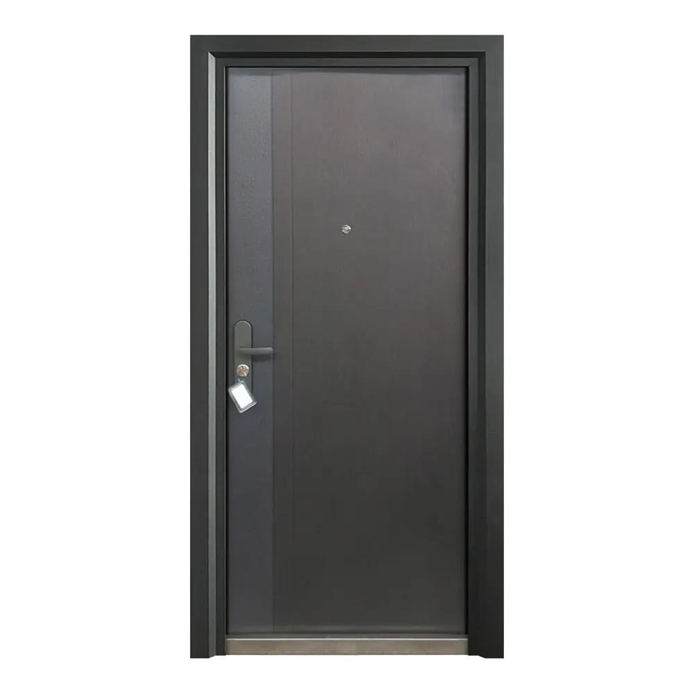 Steel Front Entry Doors - for Residential Homes - SOCOOL 4