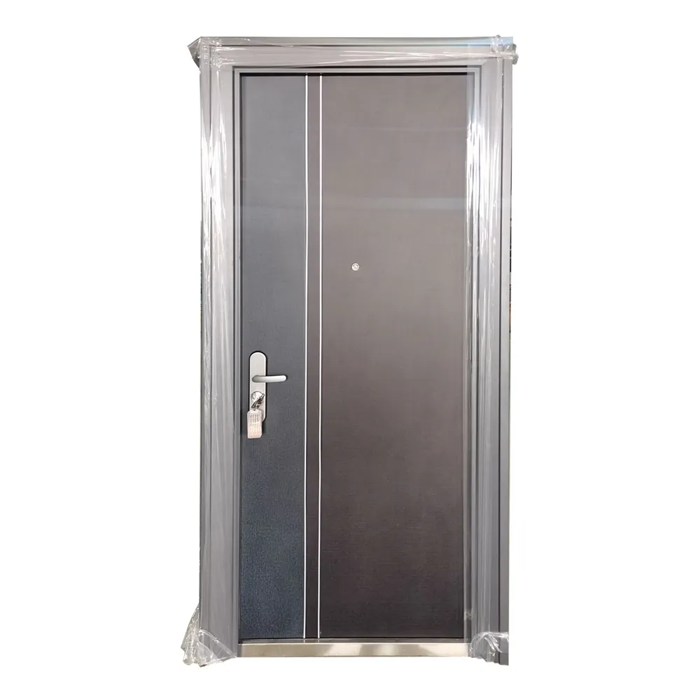 Steel Front Entry Doors - for Residential Homes - SOCOOL 5