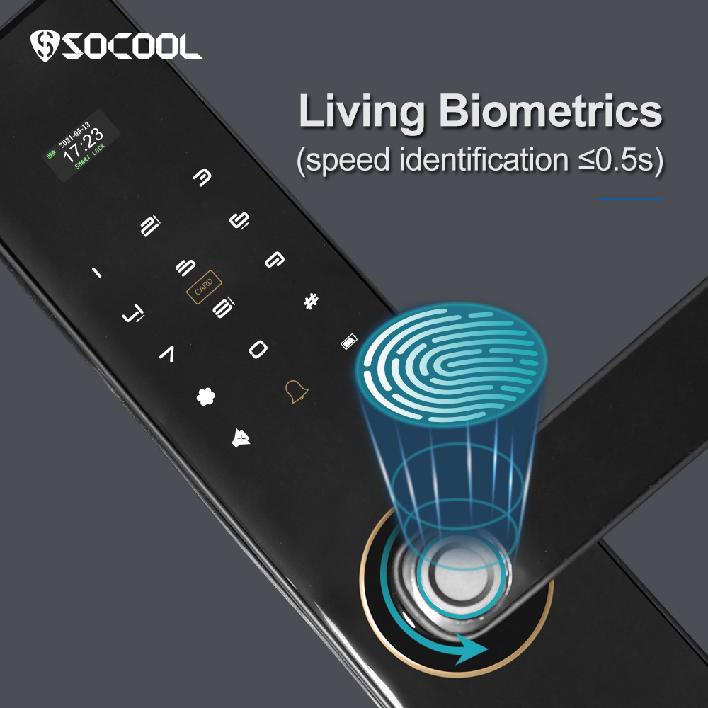 Fingerprint Zn-steel Body Smart Lock For Home Use 4