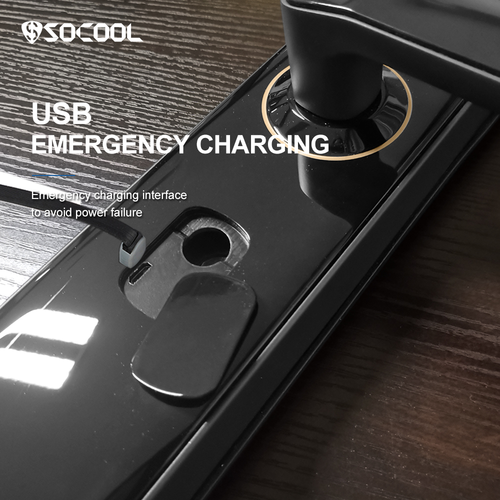 Fingerprint Zn-steel Body Smart Lock For Home Use 5