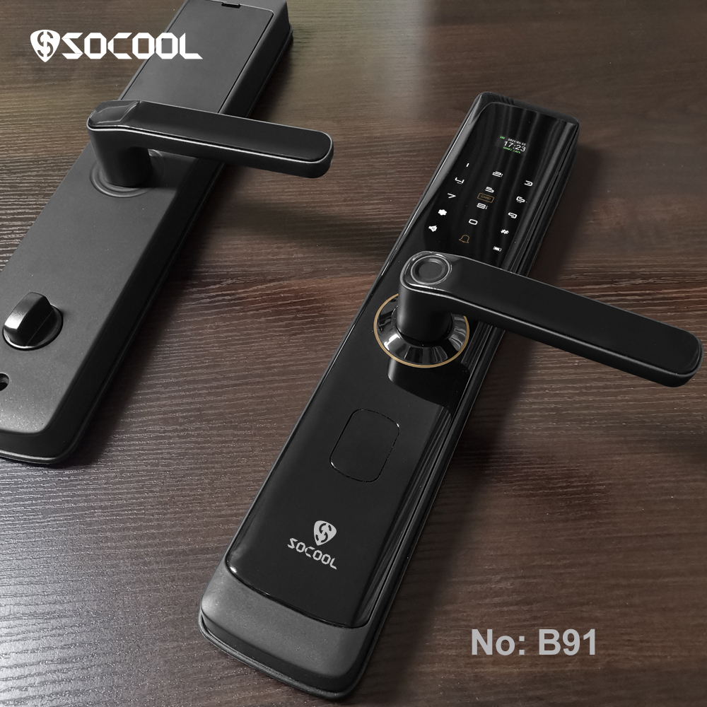 Fingerprint Zn-steel Body Smart Lock For Home Use 6
