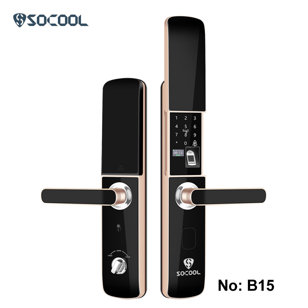 Wholesale Easy Use Semi-automatic Smart lock 1