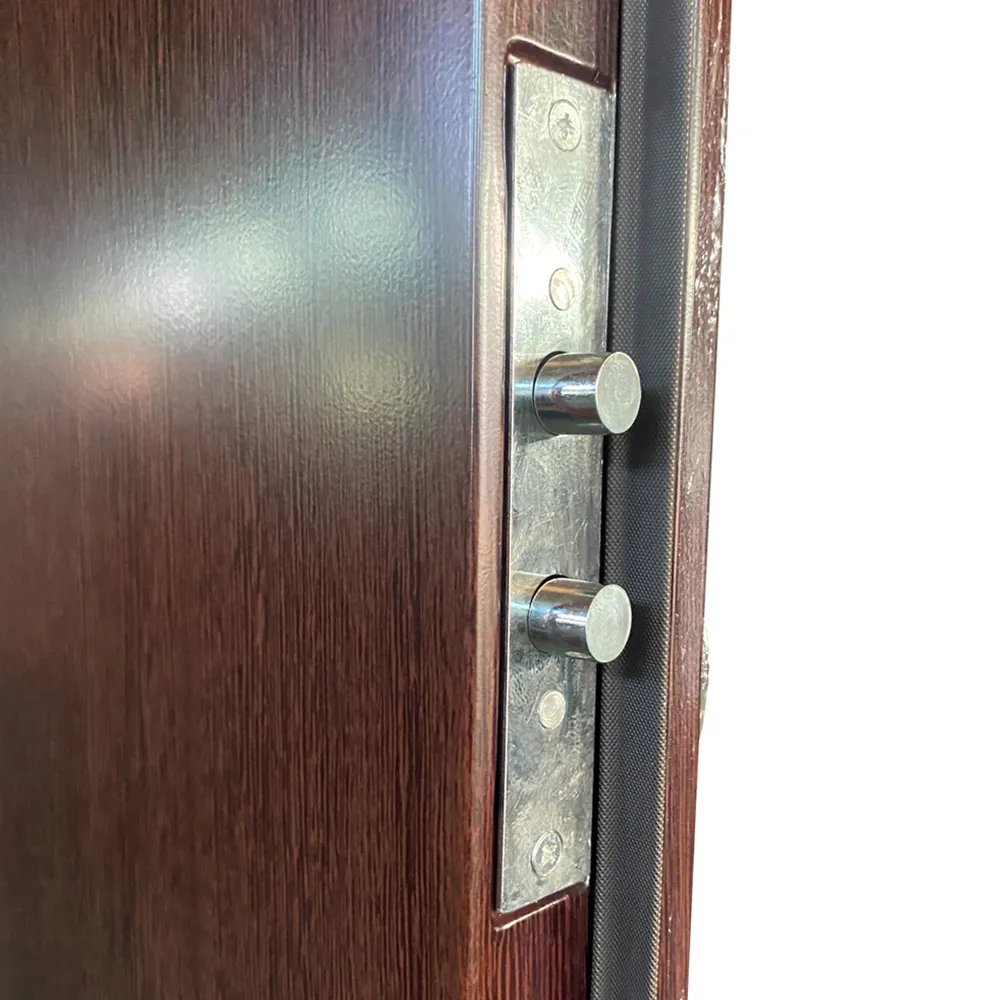 Modern Steel Front Door SOCOOL Brand 4