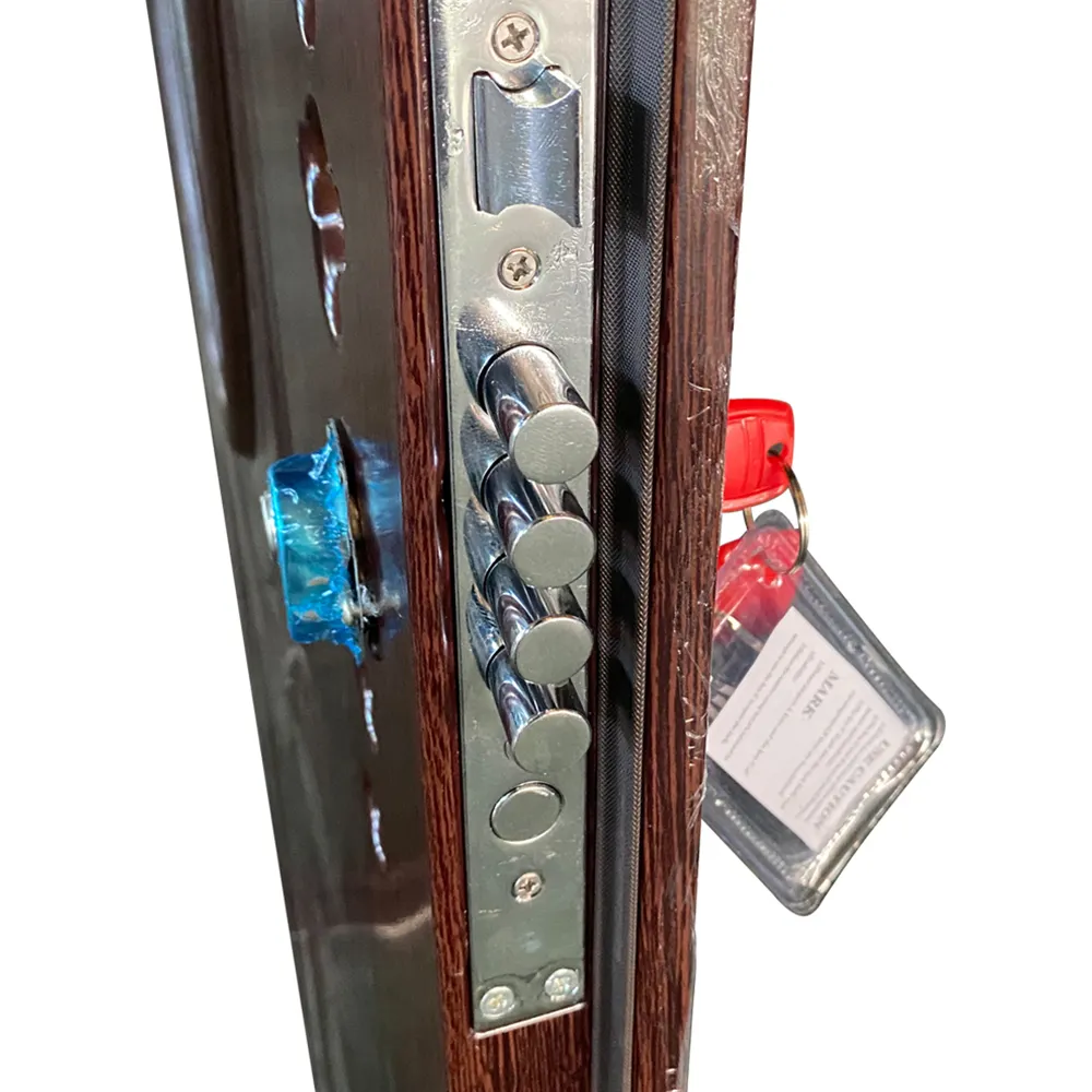 Modern Steel Front Door SOCOOL Brand 5