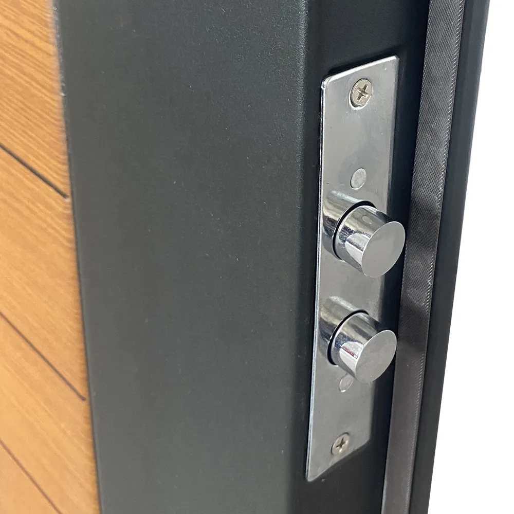 Customsteel Double Front Doors SOCOOL Brand 5