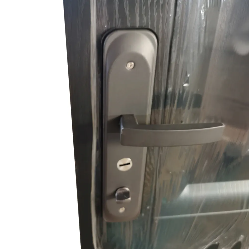 Steel Frame Exterior Door - for Residential Homes - SOCOOL 2