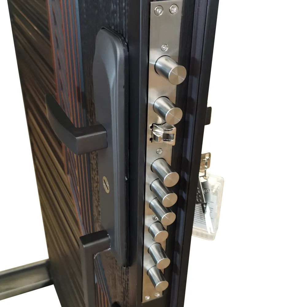 Steel Frame Exterior Door - for Residential Homes - SOCOOL 3