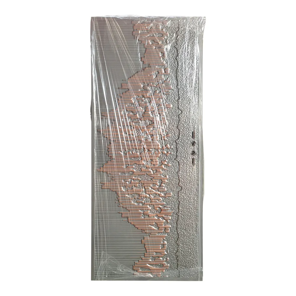 Steel Frame Exterior Door - for Residential Homes - SOCOOL 5