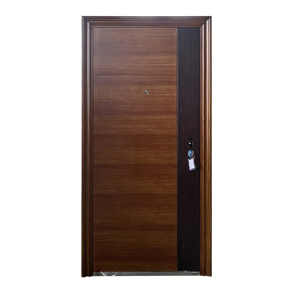 SOCOOL Modern Steel Front Door - 2
