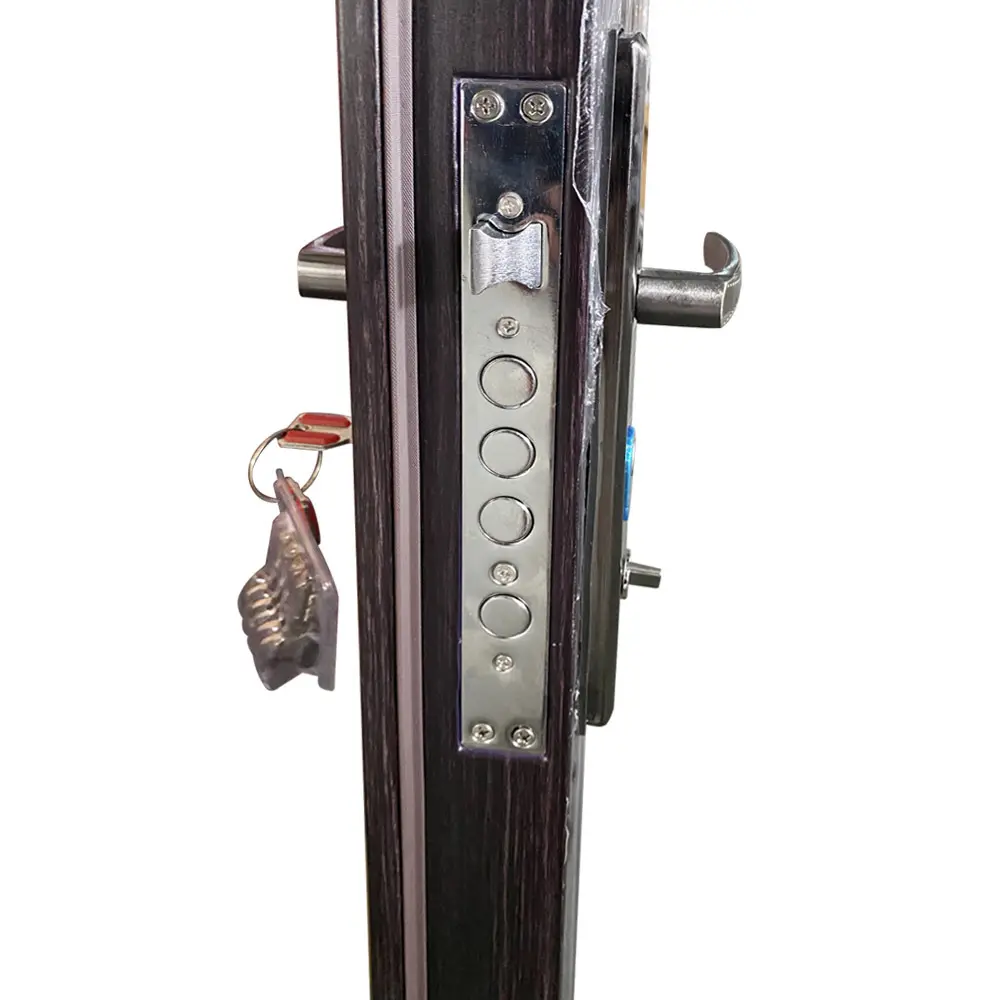 SOCOOL Modern Steel Front Door - 5