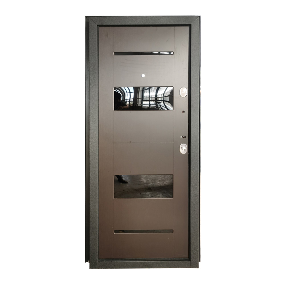 Custom Steel Frame Exterior Door SOCOOL 2