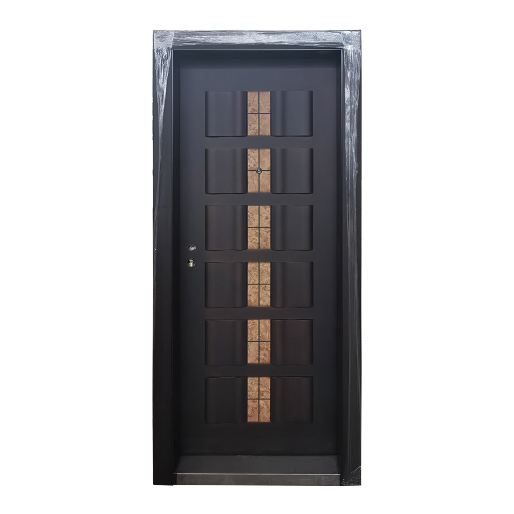 Custom Steel Frame Exterior Door SOCOOL 3