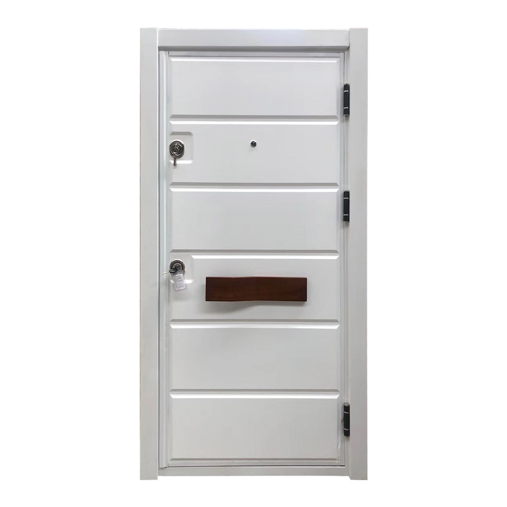 Custom Steel Frame Exterior Door SOCOOL 5
