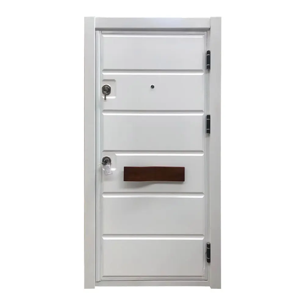 Metal Security Front Door - - SOCOOL-1 5