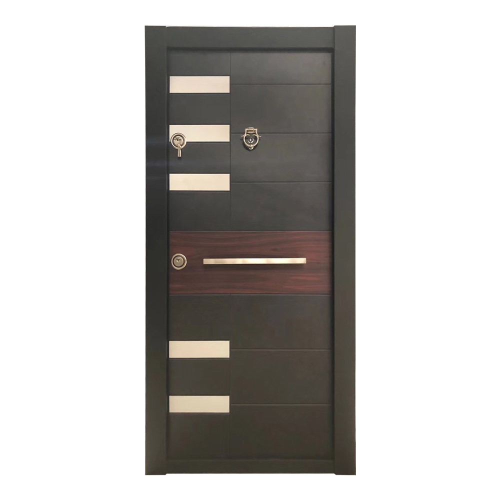 Custom Steel Frame Exterior Door SOCOOL 6