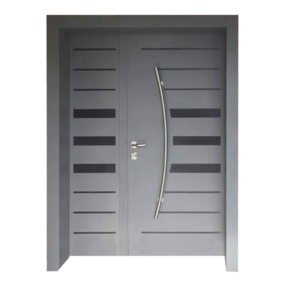 Custom Steel Frame Exterior Door SOCOOL 7