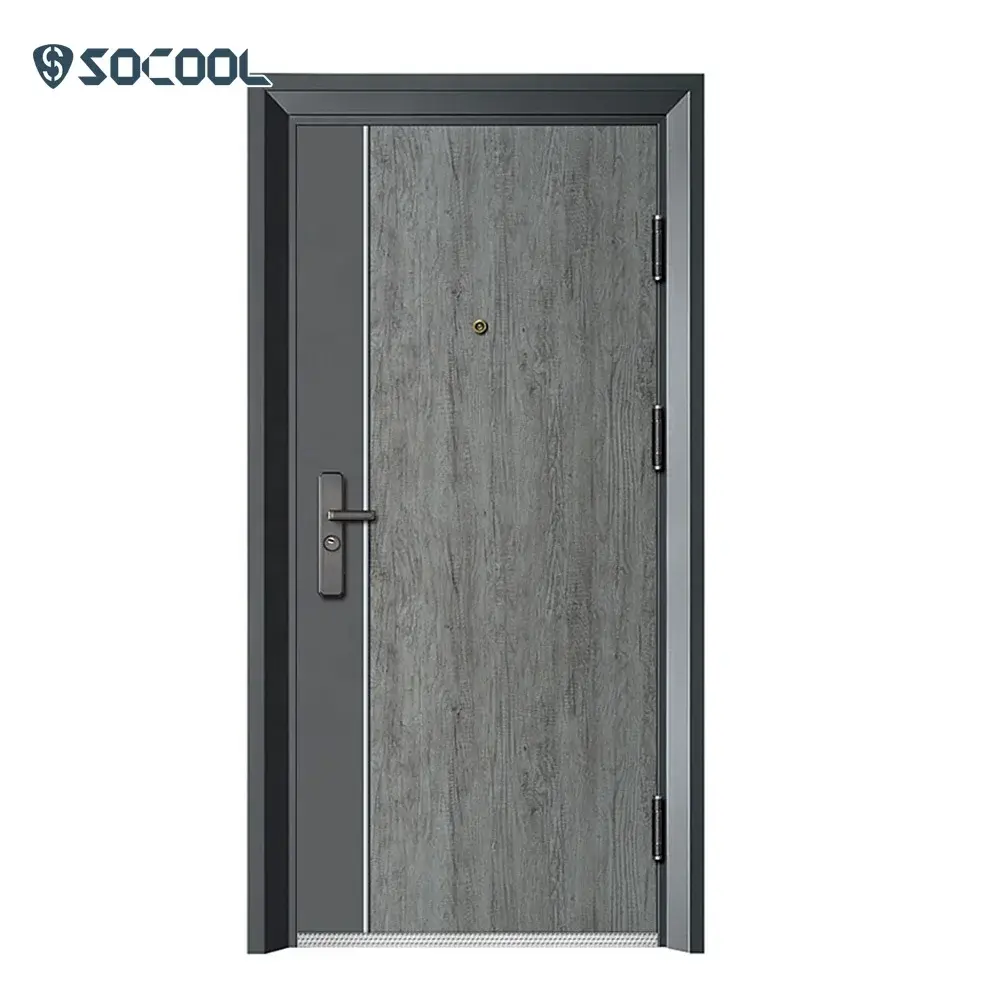 Custom Steel Double Front Doors Graphic Design SOCOOL 3