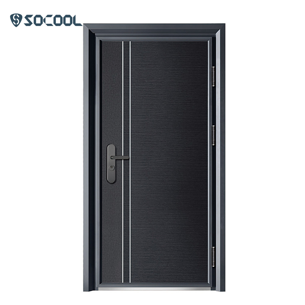 Custom Steel Double Front Doors Graphic Design SOCOOL 6
