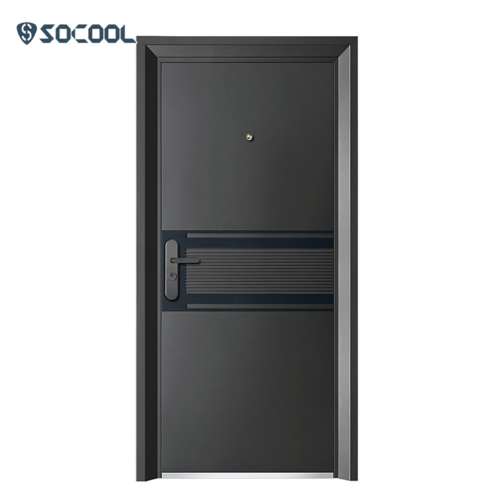 Custom Steel Double Front Doors Graphic Design SOCOOL 2