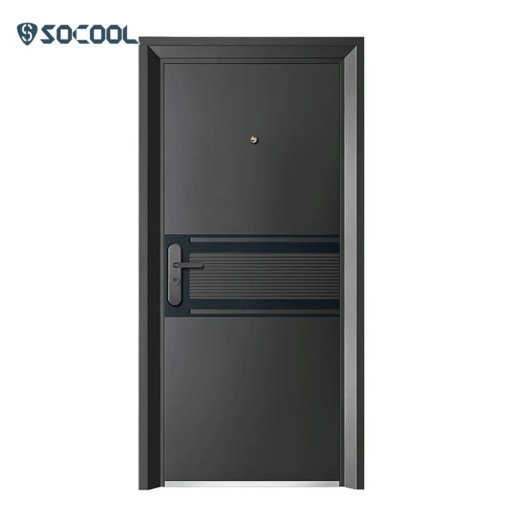 Custom Steel Double Front Doors Graphic Design SOCOOL 2