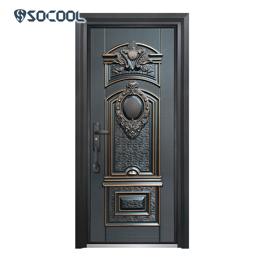 Socool Luxury Oem Design Customized Double Front Steel Door 1