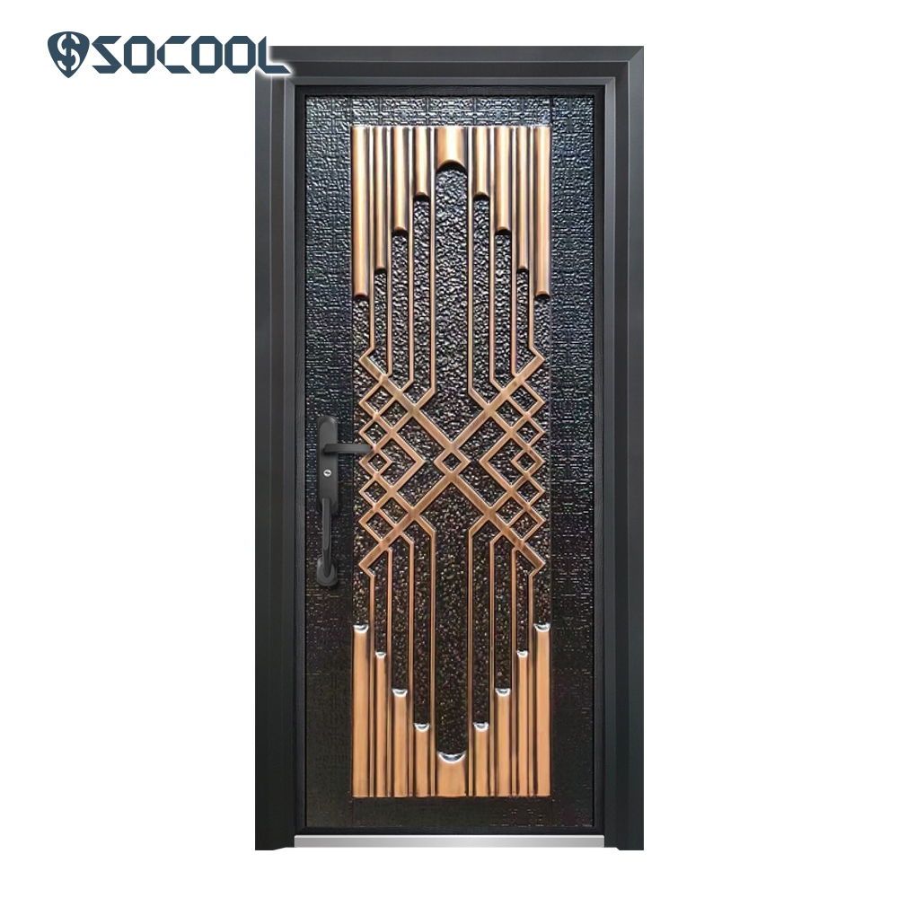 Socool Luxury Oem Design Customized Double Front Steel Door 3