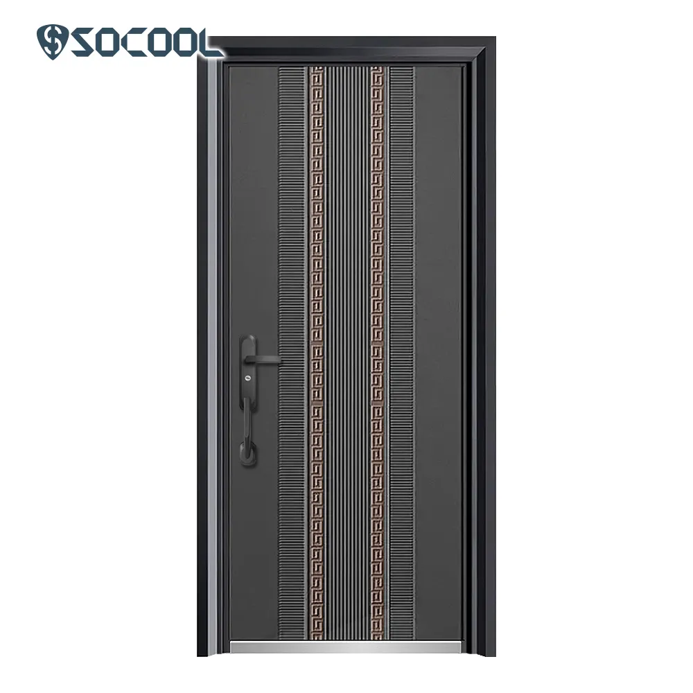 Modern Entry Doors - - SOCOOL 7
