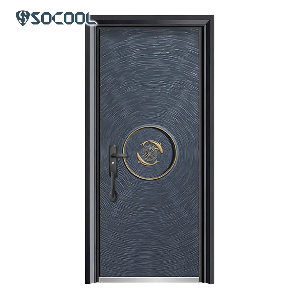 Steel Frame Entry Doors - - SOCOOL 5