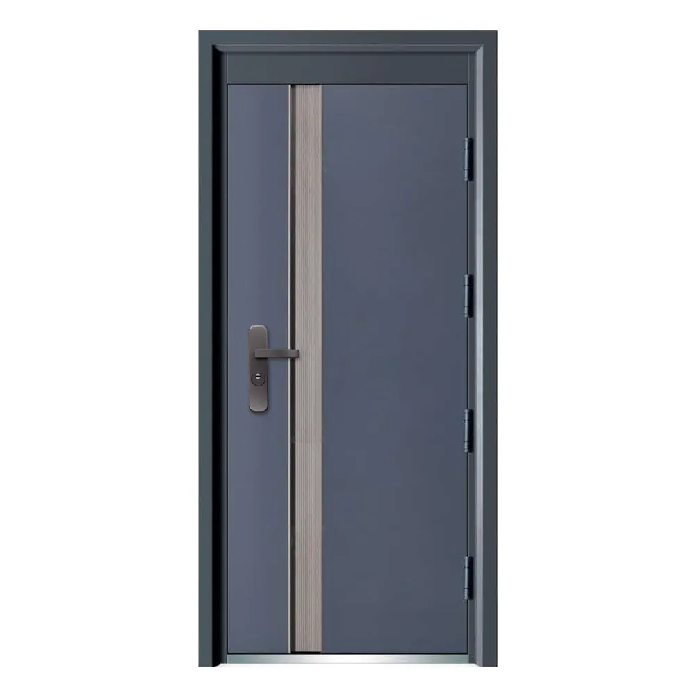 Custom Steel Residential Doors - - SOCOOL-1 2