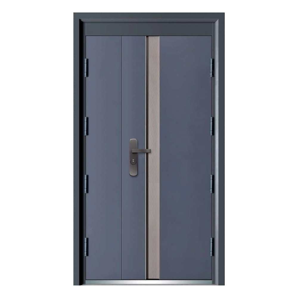 Socool Single Entry Steel Safety Main Indian Style Front Steel Security Door 1